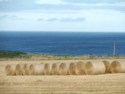 Hay - Look at this! Wallpaper