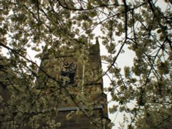 Blossom time. Wallpaper