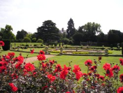 From the Orangery Wallpaper