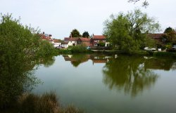 The Village Pond Wallpaper