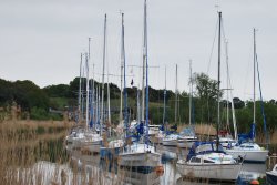 River Frome Wallpaper