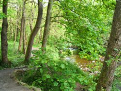 Brock Bottoms Wallpaper