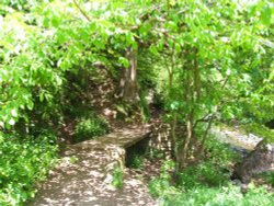 Brock Bottoms Wallpaper