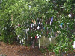 The tree of Cloutees Wallpaper