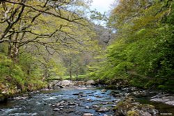 The River Lyn Wallpaper