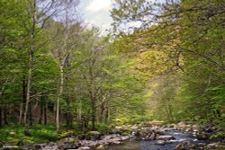 The River Lyn Wallpaper