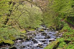 Lynmouth and the River Lyn.