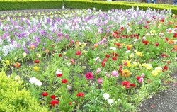 Varied colours Wallpaper