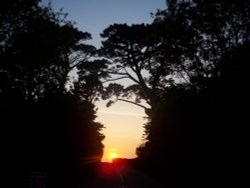 The sun goes down on Trelissick Gardens Wallpaper