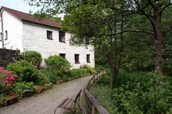 Behind the tearooms. Wallpaper