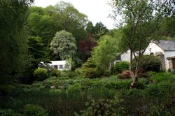 In the gardens. Wallpaper