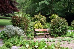 The bench by the herb garden.