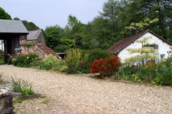 On the way out. Wallpaper