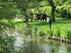 River scene Wallpaper