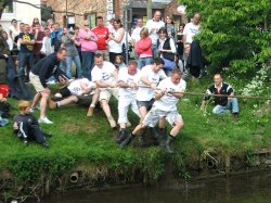 Tug of War Wallpaper