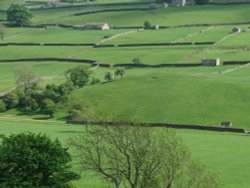 The Dales Wallpaper