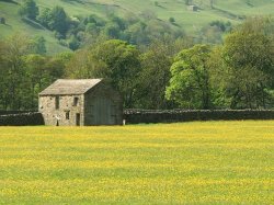 Swaledale Wallpaper