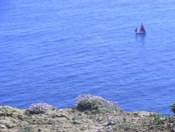 A view of Wyke Wallpaper