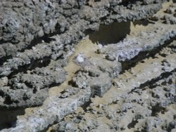 A view of Wyke Wallpaper