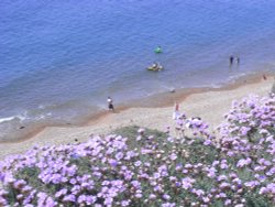 A view of Seatown Wallpaper