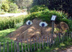 Jersey Zoo Wallpaper