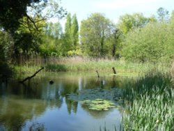 Jersey Zoo Wallpaper