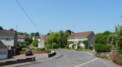 Combe St Nicholas Wallpaper