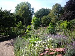 Torre Abbey Gardens Wallpaper