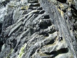 Planet Rock Wallpaper