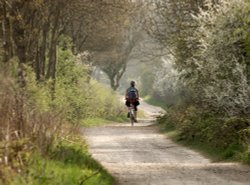 Cyclist on a byway at Mursley, Bucks Wallpaper