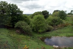 Exmoor Zoo grounds Wallpaper