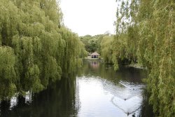 Wardown Park Luton Wallpaper