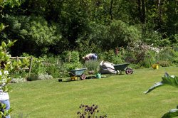 Working in one of the gardens. Wallpaper