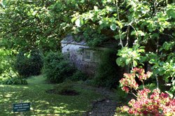 The Outhouse. Wallpaper