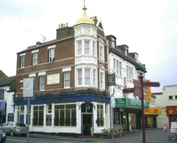 Cornucopia Wallpaper