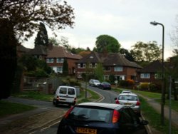 Leatherhead Wallpaper