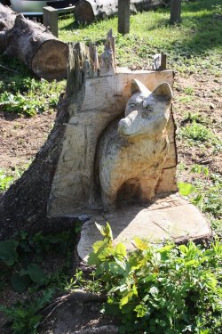 At Whitlingham Country Park