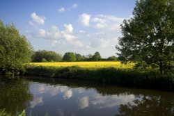 Canal south of Fradley Junction Wallpaper