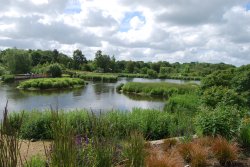 Pensthorpe Wallpaper