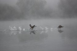 Fasten your seat belts