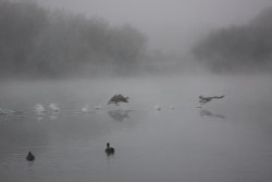 Engine RPM increases Wallpaper