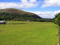 Greenfield. Wallpaper