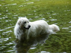 A bit cooler Wallpaper