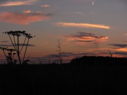 Last light Wallpaper