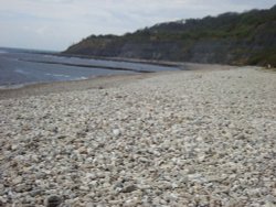 Lyme Regis Wallpaper