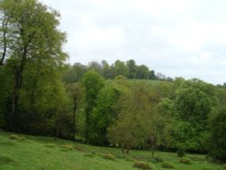 Prior Park Wallpaper
