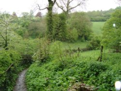 Prior Park Wallpaper