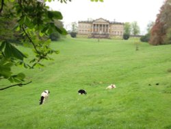 Prior Park Wallpaper