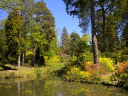 Leonardslee Lakes and Gardens