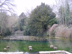 The silent pool. Wallpaper